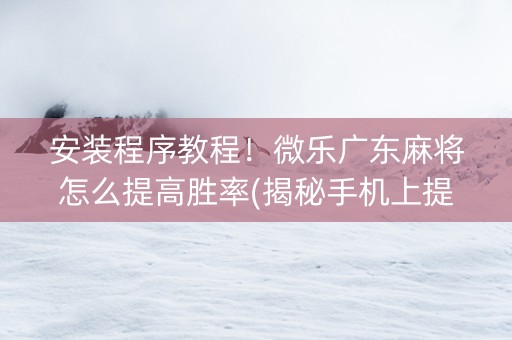 安装程序教程！微乐广东麻将怎么提高胜率(揭秘手机上提高胜率)