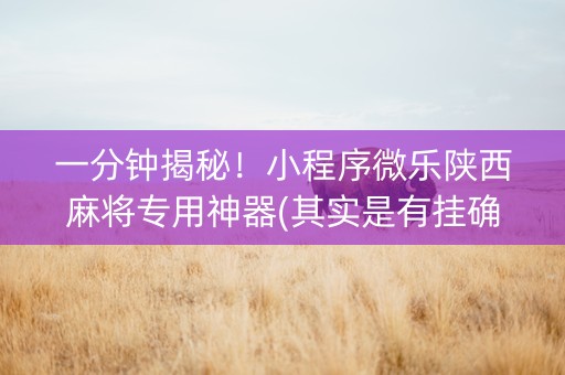 一分钟揭秘！小程序微乐陕西麻将专用神器(其实是有挂确实有挂)
