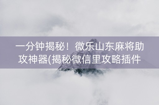 一分钟揭秘！微乐山东麻将助攻神器(揭秘微信里攻略插件)