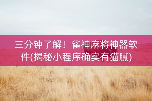 三分钟了解！雀神麻将神器软件(揭秘小程序确实有猫腻)