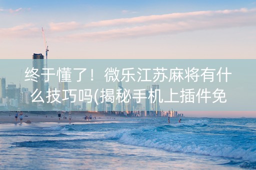 终于懂了！微乐江苏麻将有什么技巧吗(揭秘手机上插件免费)