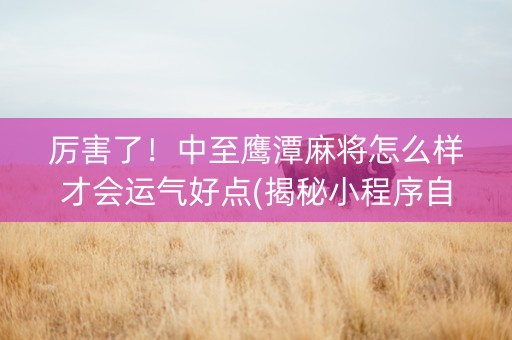 厉害了！中至鹰潭麻将怎么样才会运气好点(揭秘小程序自建房怎么赢)