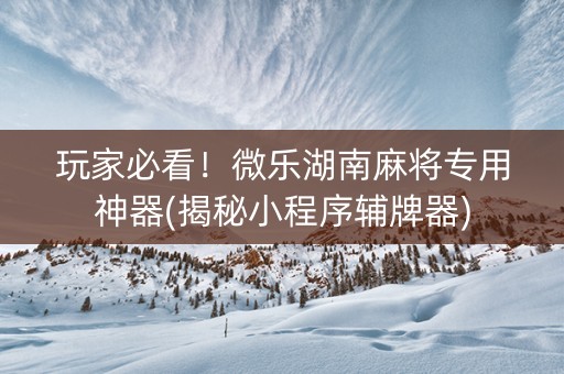 玩家必看！微乐湖南麻将专用神器(揭秘小程序辅牌器)