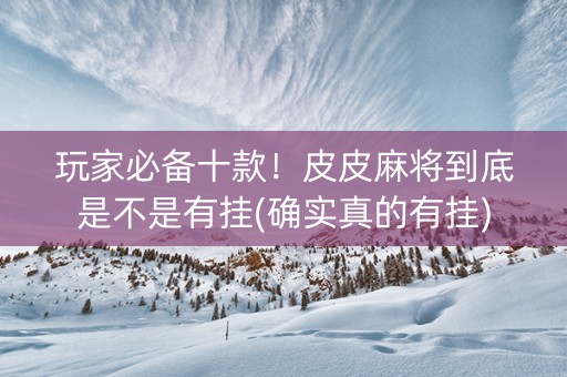 玩家必备十款！皮皮麻将到底是不是有挂(确实真的有挂)