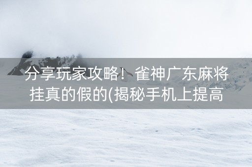 分享玩家攻略！雀神广东麻将挂真的假的(揭秘手机上提高胜率)