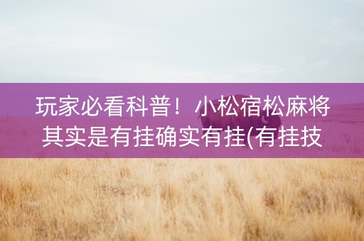 玩家必看科普！小松宿松麻将其实是有挂确实有挂(有挂技巧辅助器)