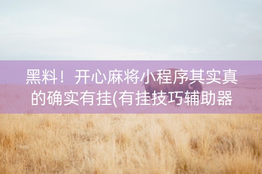 黑料！开心麻将小程序其实真的确实有挂(有挂技巧辅助器)