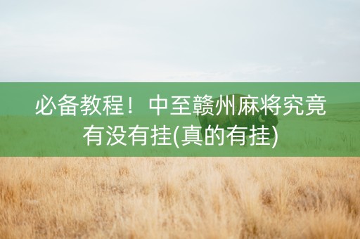 必备教程！中至赣州麻将究竟有没有挂(真的有挂)
