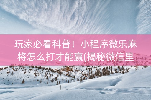 玩家必看科普！小程序微乐麻将怎么打才能赢(揭秘微信里助赢神器)