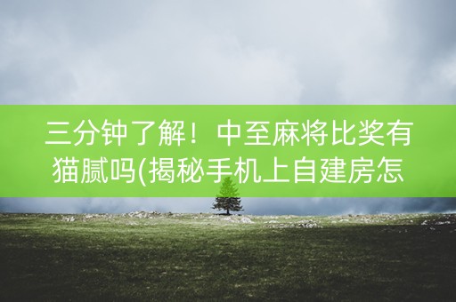 三分钟了解！中至麻将比奖有猫腻吗(揭秘手机上自建房怎么赢)