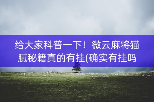 给大家科普一下！微云麻将猫腻秘籍真的有挂(确实有挂吗)