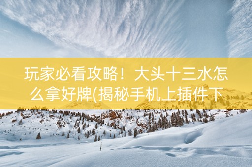 玩家必看攻略！大头十三水怎么拿好牌(揭秘手机上插件下载)