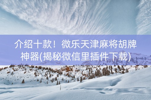 介绍十款！微乐天津麻将胡牌神器(揭秘微信里插件下载)