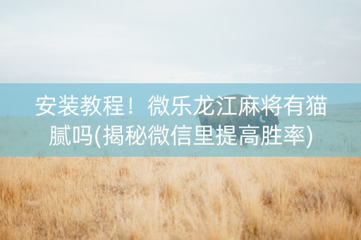 安装教程！微乐龙江麻将有猫腻吗(揭秘微信里提高胜率)