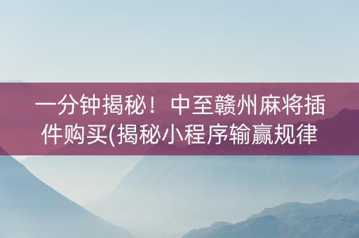 一分钟揭秘！中至赣州麻将插件购买(揭秘小程序输赢规律)