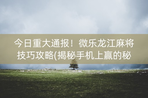 今日重大通报！微乐龙江麻将技巧攻略(揭秘手机上赢的秘诀)