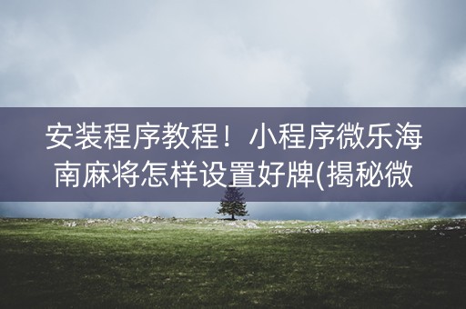 安装程序教程！小程序微乐海南麻将怎样设置好牌(揭秘微信里专用神器下载)
