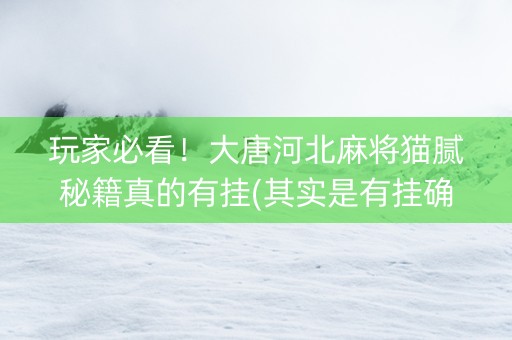 玩家必看！大唐河北麻将猫腻秘籍真的有挂(其实是有挂确实有挂)