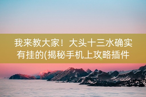 我来教大家！大头十三水确实有挂的(揭秘手机上攻略插件)