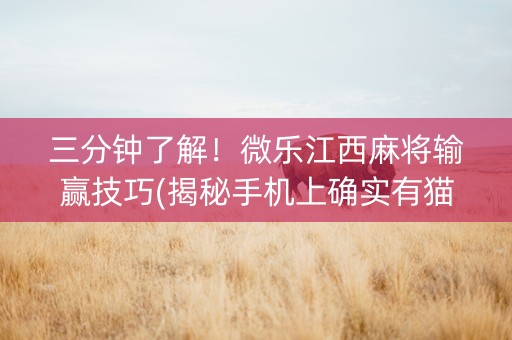 三分钟了解！微乐江西麻将输赢技巧(揭秘手机上确实有猫腻)