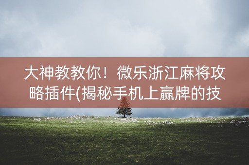 大神教教你！微乐浙江麻将攻略插件(揭秘手机上赢牌的技巧)