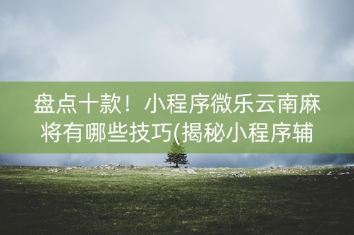 盘点十款！小程序微乐云南麻将有哪些技巧(揭秘小程序辅牌器)