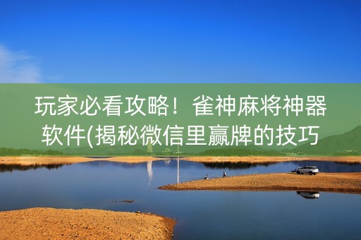 玩家必看攻略！雀神麻将神器软件(揭秘微信里赢牌的技巧)