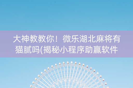大神教教你！微乐湖北麻将有猫腻吗(揭秘小程序助赢软件)