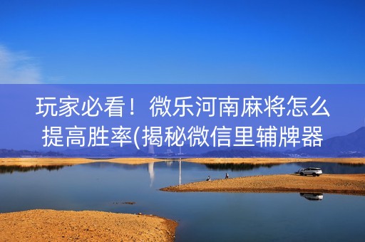 玩家必看！微乐河南麻将怎么提高胜率(揭秘微信里辅牌器)