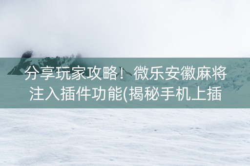 分享玩家攻略！微乐安徽麻将注入插件功能(揭秘手机上插件免费)