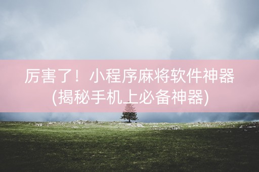 厉害了！小程序麻将软件神器(揭秘手机上必备神器)