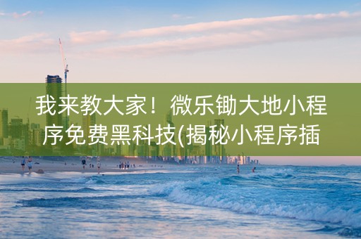 我来教大家！微乐锄大地小程序免费黑科技(揭秘小程序插件下载)
