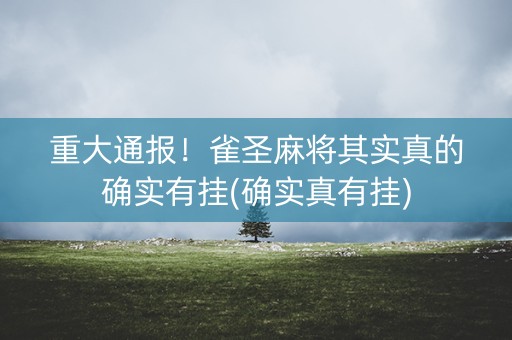 重大通报！雀圣麻将其实真的确实有挂(确实真有挂)