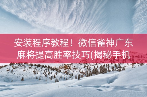安装程序教程！微信雀神广东麻将提高胜率技巧(揭秘手机上怎么容易赢)