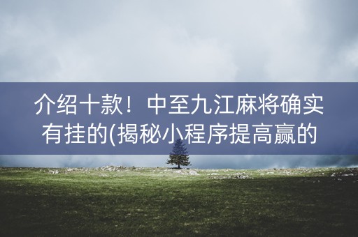 介绍十款！中至九江麻将确实有挂的(揭秘小程序提高赢的概率)