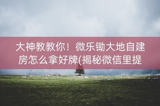大神教教你！微乐锄大地自建房怎么拿好牌(揭秘微信里提高胜率)