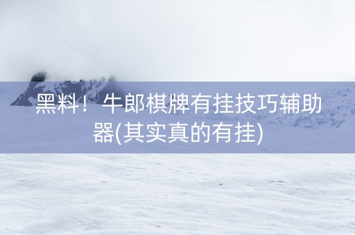 黑料！牛郎棋牌有挂技巧辅助器(其实真的有挂)