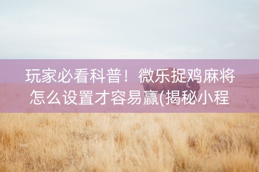玩家必看科普！微乐捉鸡麻将怎么设置才容易赢(揭秘小程序插件免费)