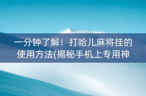 一分钟了解！打哈儿麻将挂的使用方法(揭秘手机上专用神器)