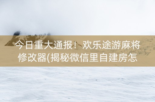 今日重大通报！欢乐途游麻将修改器(揭秘微信里自建房怎么赢)