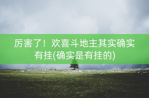 厉害了！欢喜斗地主其实确实有挂(确实是有挂的)