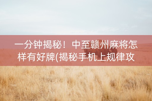 一分钟揭秘！中至赣州麻将怎样有好牌(揭秘手机上规律攻略)