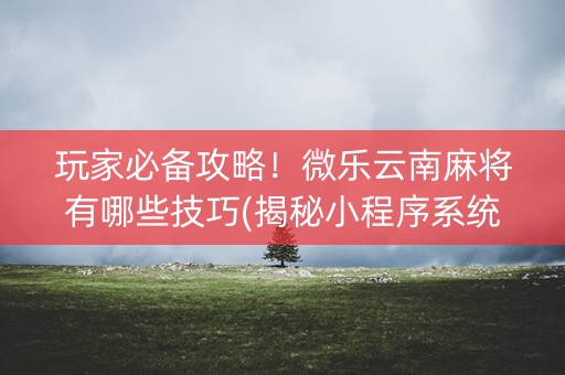 玩家必备攻略！微乐云南麻将有哪些技巧(揭秘小程序系统发好牌)