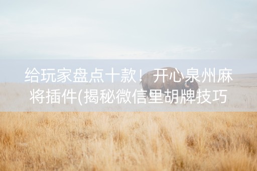 给玩家盘点十款！开心泉州麻将插件(揭秘微信里胡牌技巧)