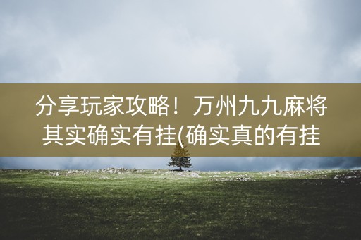 分享玩家攻略！万州九九麻将其实确实有挂(确实真的有挂)
