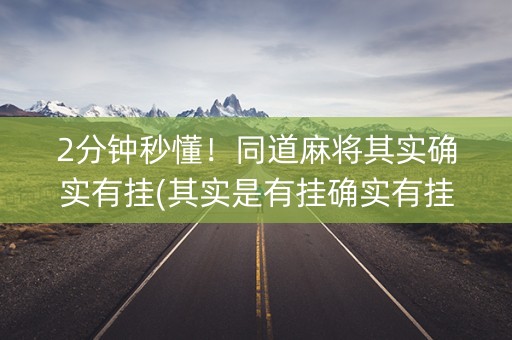 2分钟秒懂！同道麻将其实确实有挂(其实是有挂确实有挂)