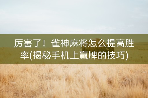 厉害了！雀神麻将怎么提高胜率(揭秘手机上赢牌的技巧)