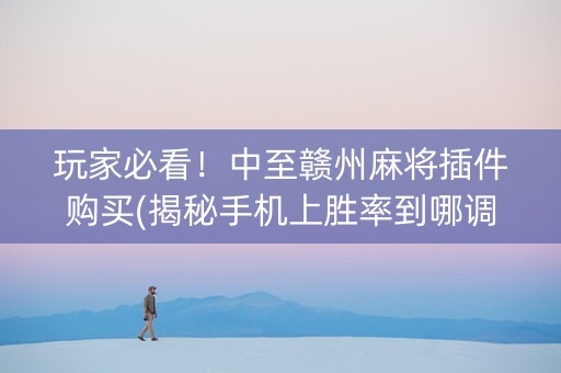 玩家必看！中至赣州麻将插件购买(揭秘手机上胜率到哪调)
