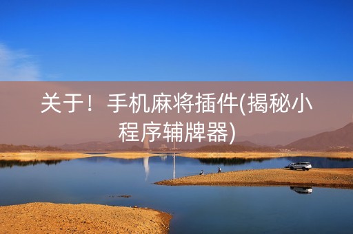 关于！手机麻将插件(揭秘小程序辅牌器)