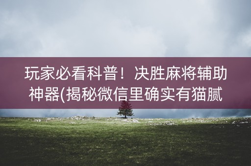 玩家必看科普！决胜麻将辅助神器(揭秘微信里确实有猫腻)